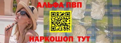 хмурый Кингисепп