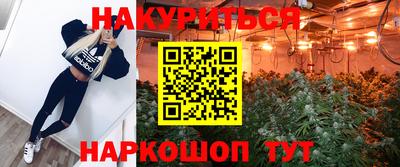 хмурый Кингисепп