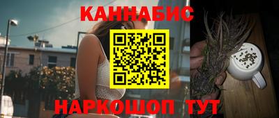 хмурый Кингисепп