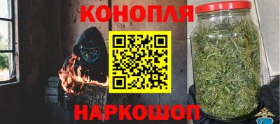 хмурый Кингисепп