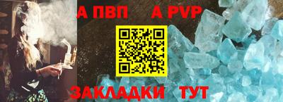 хмурый Кингисепп