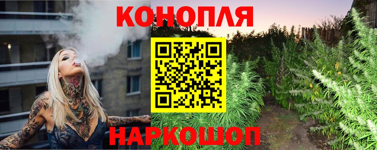 Марихуана сатива Котлас